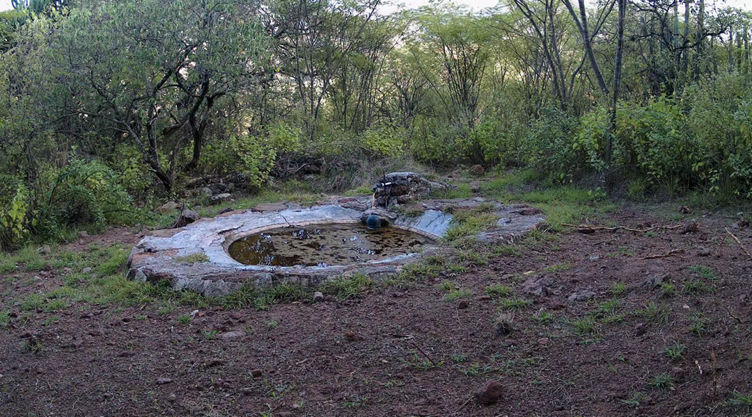 Rancho La Onza. Bebedero