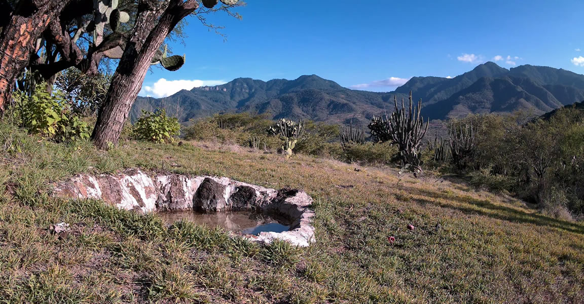 Rancho La Onza. Criadero