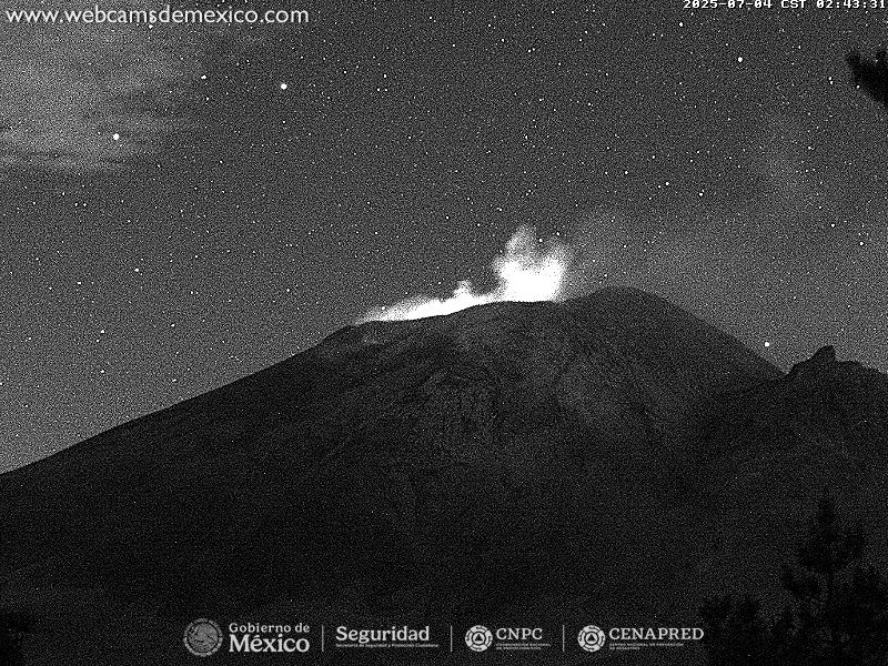 webcamsdemexico.com